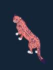 Big Cats IV Art Print