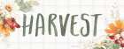 Simple Harvest IV Art Print