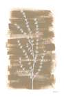 Simple Sprigs of Thyme Art Print
