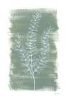 Simple Sprigs of Rosemary Art Print
