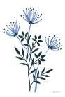 French Country Botanicals II Art Print