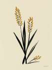 Folk Botanicals II Art Print