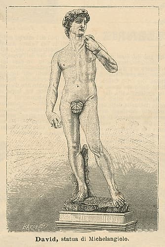 David Art Print