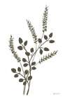 French Country Botanicals Neutral I Art Print