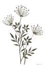 French Country Botanicals Neutral II Art Print