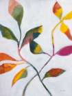 Plant Care II Abstract Art Print