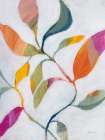Plant Care III Abstract Art Print