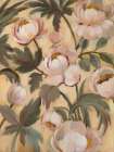 Garden Peonies II Art Print