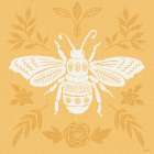 Bugs And Botanicals VII Art Print