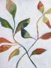 Plant Care II Rust Art Print