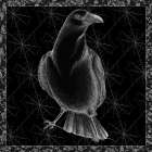 Arsenic and Old Lace BW No Words I Art Print