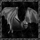 Arsenic and Old Lace BW No Words II Art Print