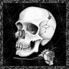 Arsenic and Old Lace BW No Words III Art Print