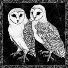 Arsenic and Old Lace BW No Words IV Art Print