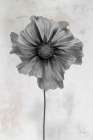 Wonderful Wildflowers II Neutral Art Print