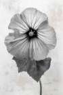Wonderful Wildflowers III Neutral Art Print
