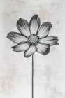 Wonderful Wildflowers IV Neutral Art Print