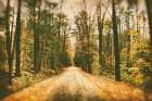 Faded Road Art Print