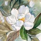 Graceful Peony Art Print