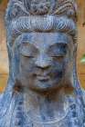 Buddha Art Print