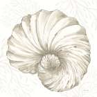 Coastal Reef II Art Print