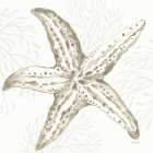 Coastal Reef III Art Print