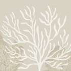 Coastal Reef VI Art Print