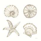 Coastal Reef IX Art Print