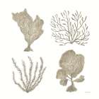 Coastal Reef X Art Print