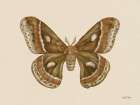 Spooky Halloween Moth I Art Print