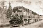 Alaskan Railroad in Denali Art Print