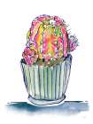 Colorful Cactus I Kitchen Print