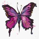 Jewel Butterfly I Art Print