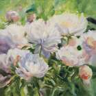 White Impressionistic Peonies Art Print