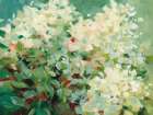 Humble Hydrangea Art Print