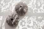 Urchins in Lace I Coastal Print