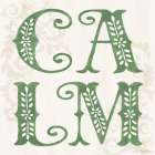 Decorative Holiday V Art Print