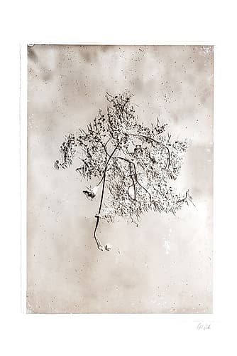 Glass Plate V Art Deco Print