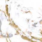 Glimpse of Gold II Art Print