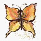 Jewel Butterfly II Art Print
