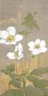 Anemones II Art Print