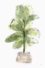 Biophilic II Art Print