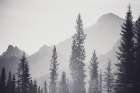 Kananaskis Country Art Print