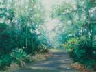 Serene Walk Art Print