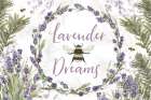 Fresh Lavender I Art Print
