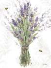 Fresh Lavender II Art Print