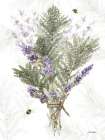 Fresh Lavender III Art Print