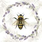 Fresh Lavender V Art Print