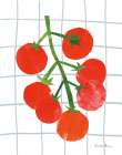 Fresh Tomatoes I Art Print