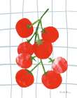 Fresh Tomatoes II Art Print